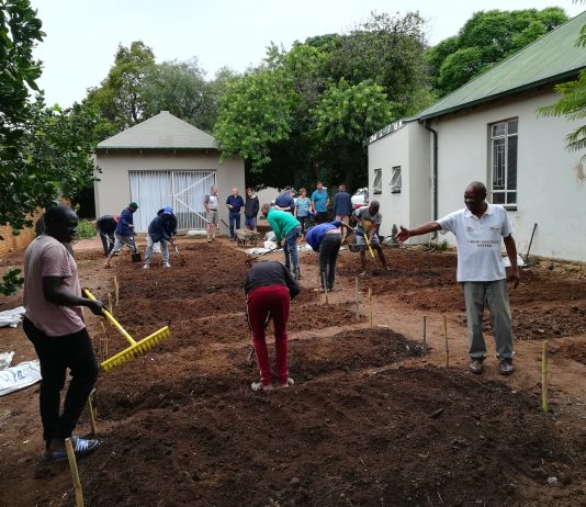 New Vegetable Garden